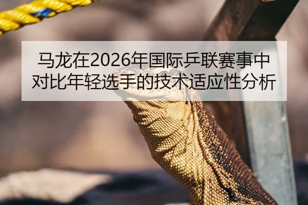 马龙在2026年国际乒联赛事中对比年轻选手的技术适应性分析