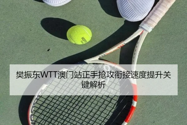 樊振东WTT澳门站正手抢攻衔接速度提升关键解析