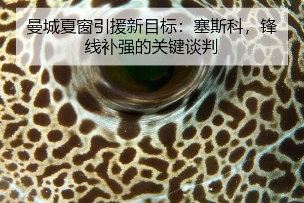 曼城夏窗引援新目标：塞斯科，锋线补强的关键谈判