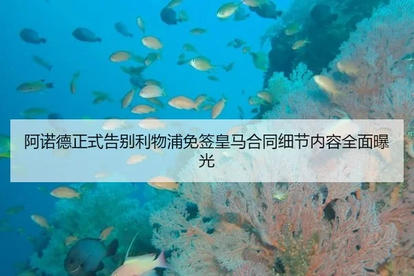 阿诺德正式告别利物浦免签皇马合同细节内容全面曝光